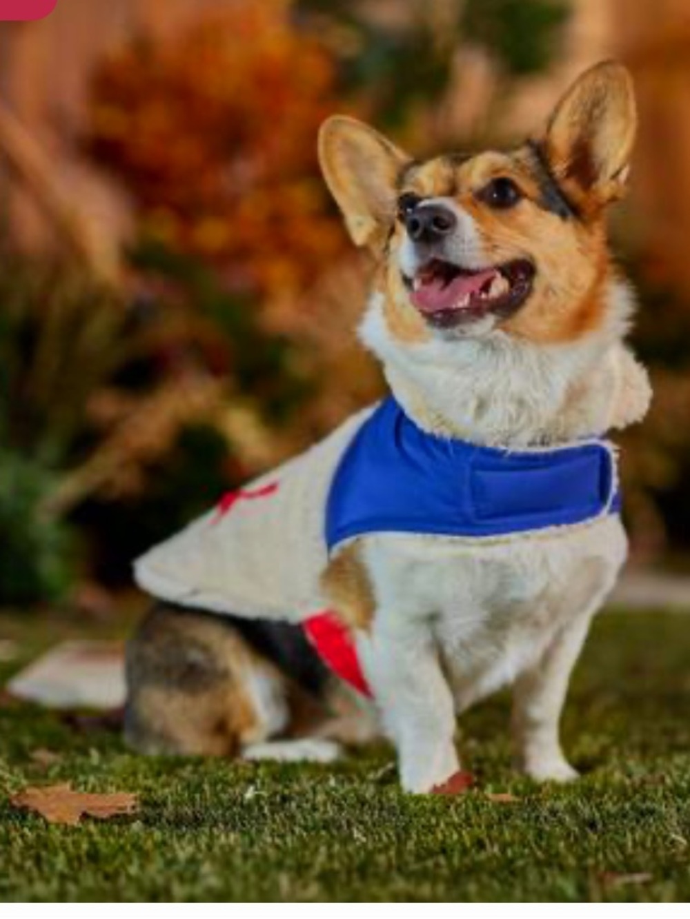 NWOT Frisco Medium Weight Retro Colorblock Mixed Media Dog & Cat Coat - Small